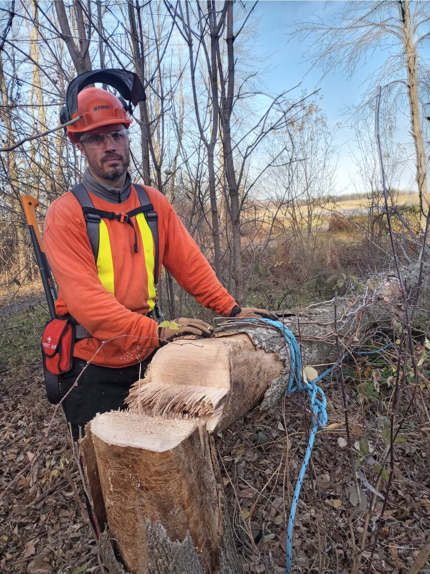 Trevor in orange safety gear beside a felled tree and its stump