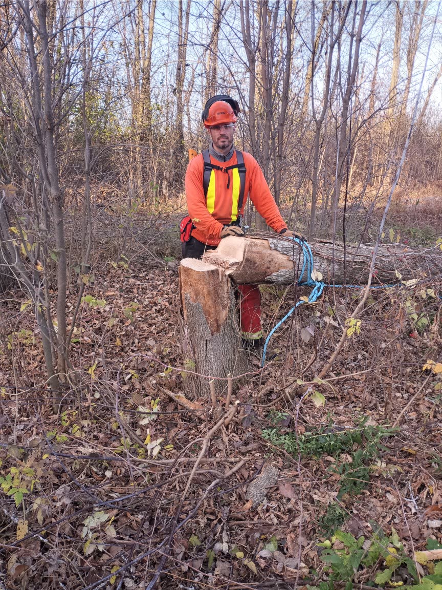 Trevor with a felled tree and a rigging rope